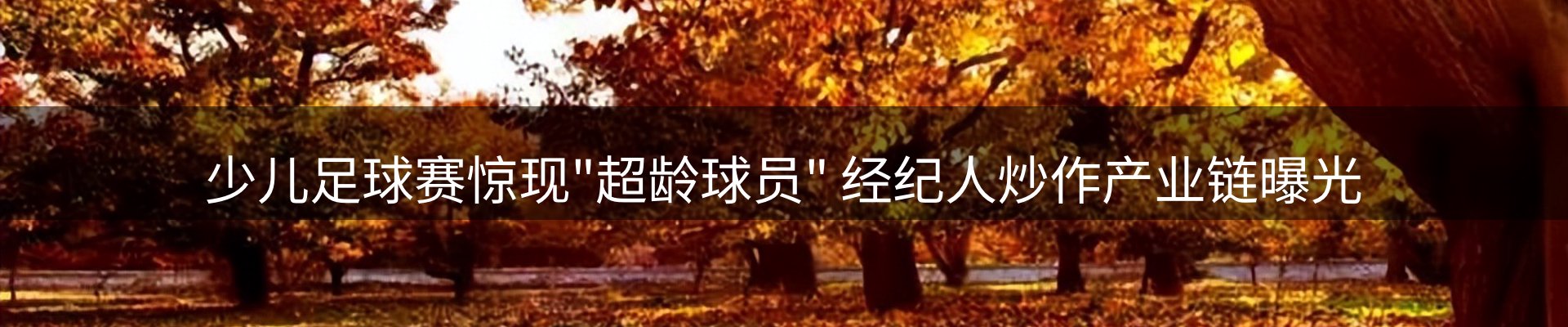 行业资讯