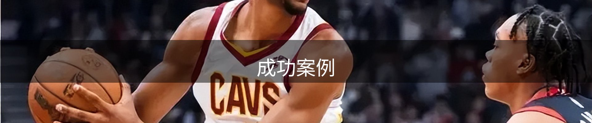 成功案例